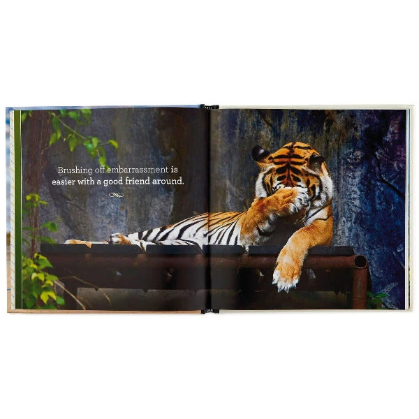 Hallmark Friends Forever: 42 Ways To Celebrate Love, Loyalty And Togetherness Book 2 Hallmark Friends Forever: 42 Ways To Celebrate Love, Loyalty And Togetherness Book - Image 2