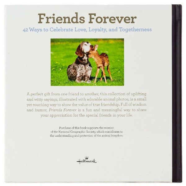 Hallmark Friends Forever: 42 Ways To Celebrate Love, Loyalty And Togetherness Book 3 Hallmark Friends Forever: 42 Ways To Celebrate Love, Loyalty And Togetherness Book - Image 3