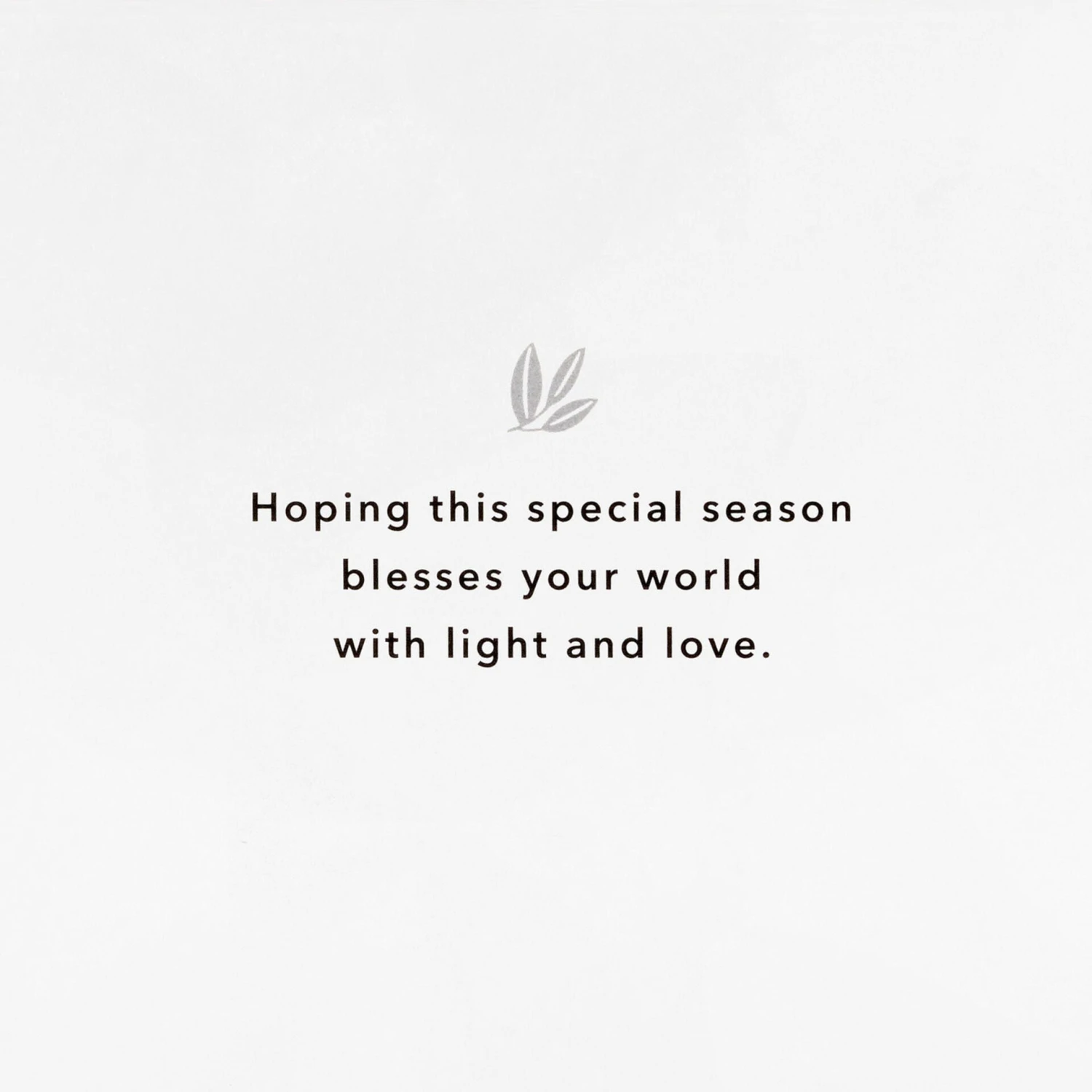 Hallmark Bird And Botanical Banner Boxed Christmas Cards, Pack Of 16 2 Hallmark Bird And Botanical Banner Boxed Christmas Cards, Pack Of 16 - Image 2