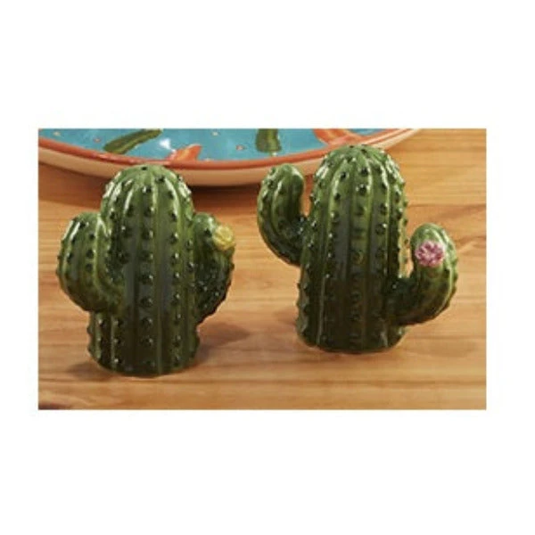 Cactus Salt & Pepper Shaker Set 1 Cactus Salt & Pepper Shaker Set
