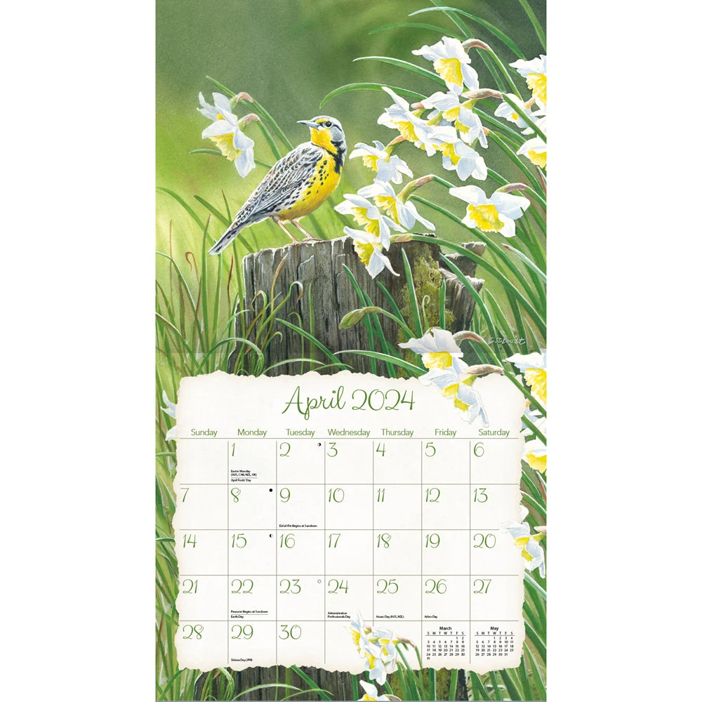 2024 Lang Wall Calendar Songbirds 2 2024 Lang Wall Calendar Songbirds - Image 2