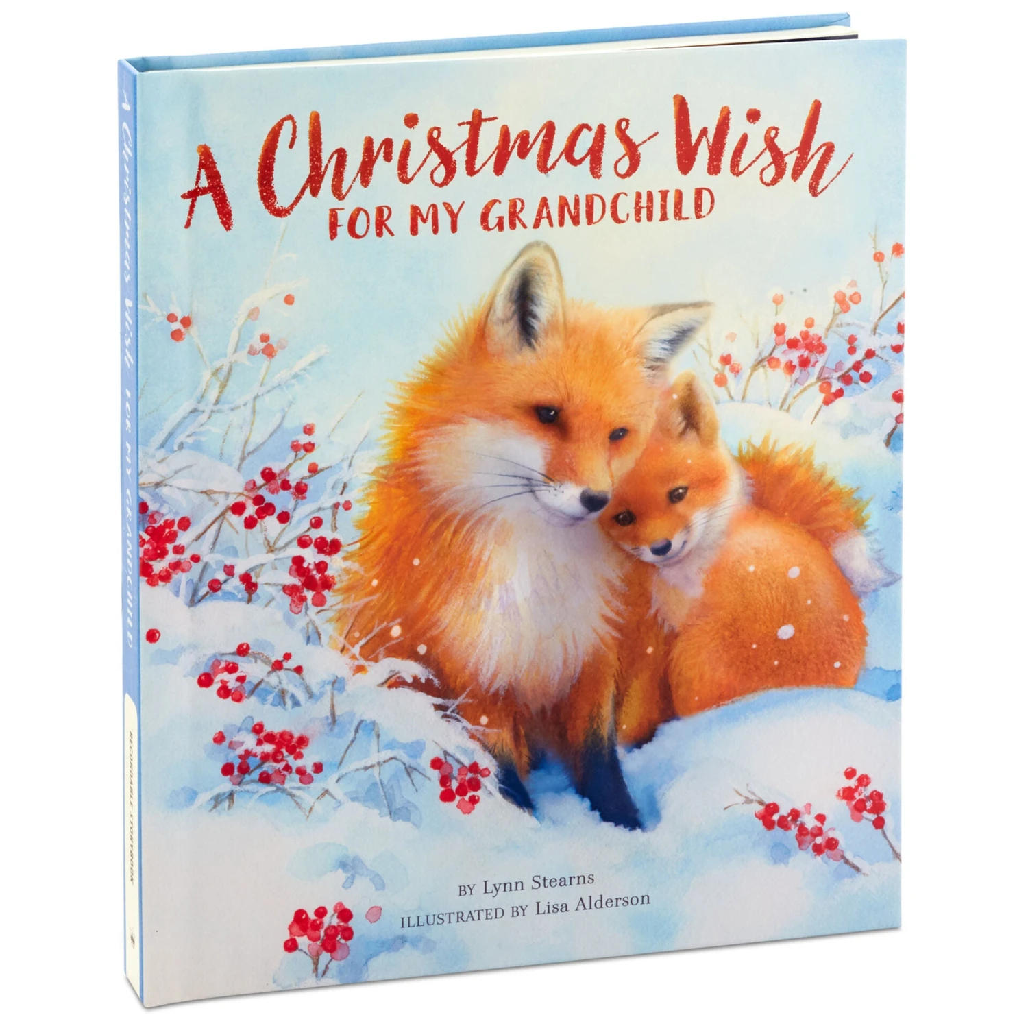 Hallmark A Christmas Wish For My Grandchild Recordable Storybook 1 Hallmark A Christmas Wish For My Grandchild Recordable Storybook