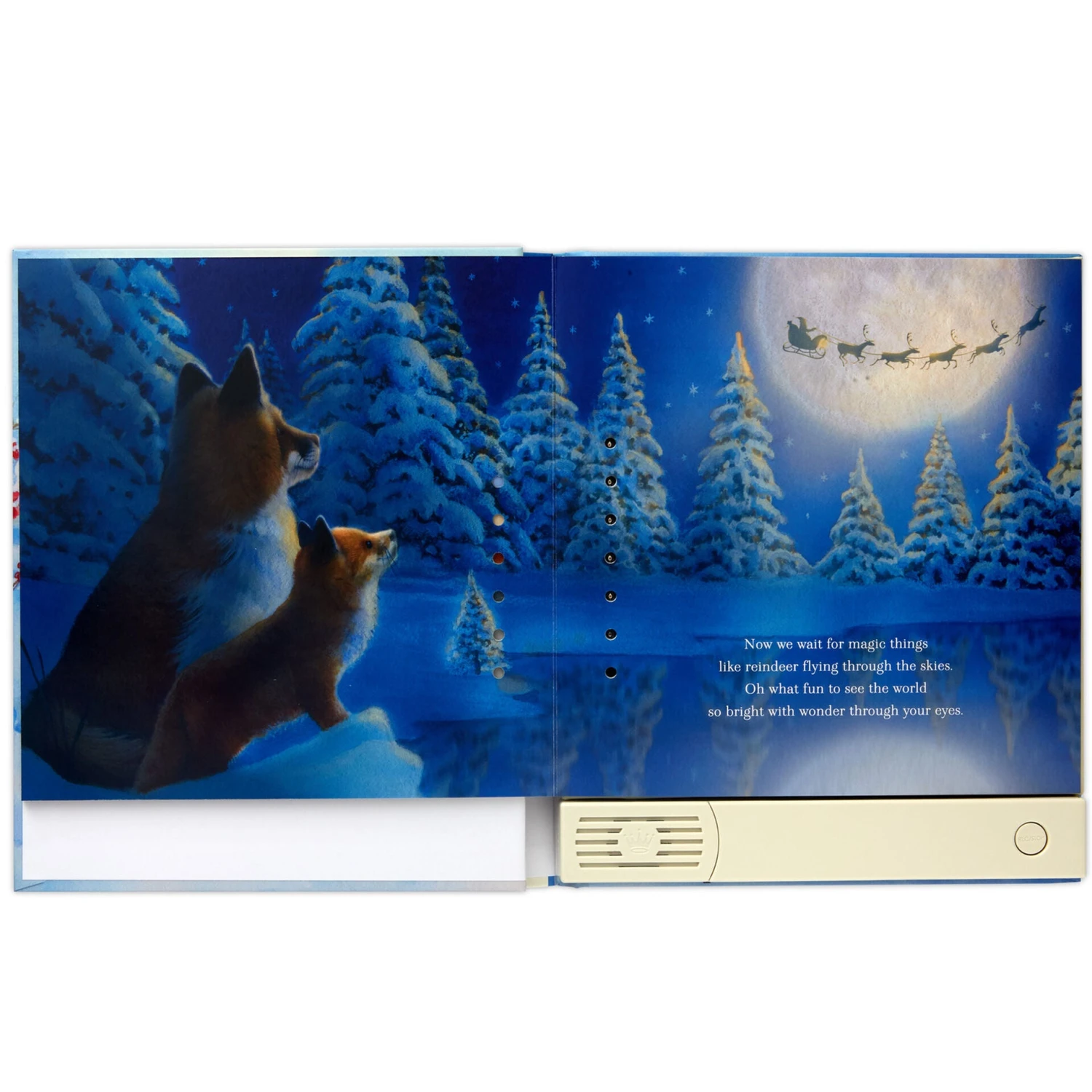Hallmark A Christmas Wish For My Grandchild Recordable Storybook 2 Hallmark A Christmas Wish For My Grandchild Recordable Storybook - Image 2
