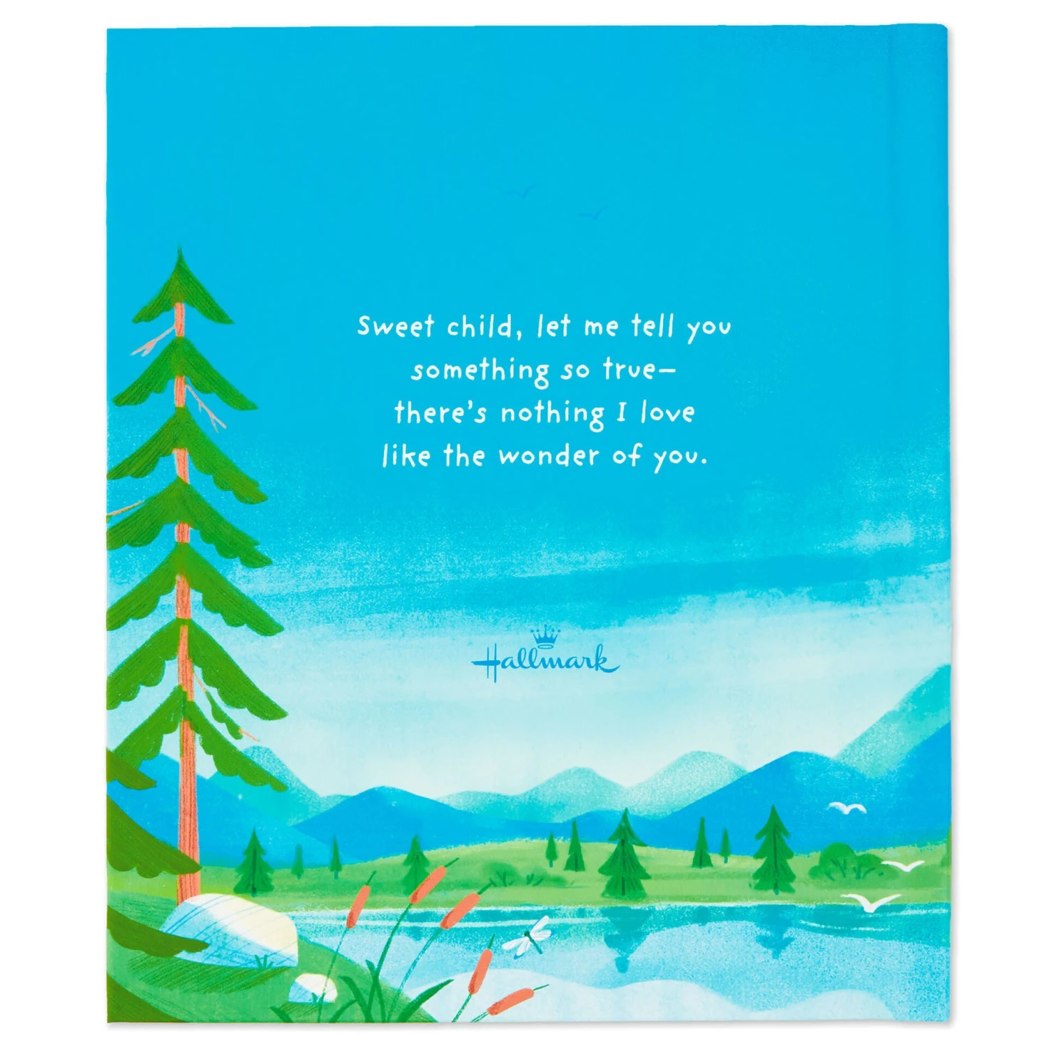 Hallmark The Wonder Of You Recordable Storybook 2 Hallmark The Wonder Of You Recordable Storybook - Image 2