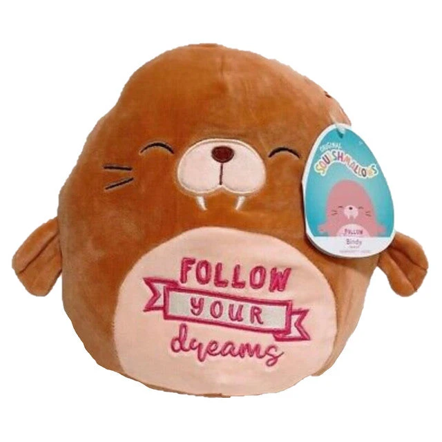 Squishmallow Bindy The Walrus Follow Your Dreams 5" Stuffed Plush By Kelly Toy 1 Squishmallow Bindy The Walrus Follow Your Dreams 5" Stuffed Plush By Kelly Toy